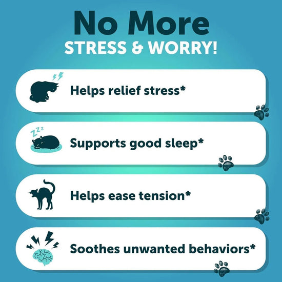 Melatonin Soothing Chews for Cats and Kittens