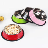 Pet Bowl Pet Feeding Basin for Dogs and Cats