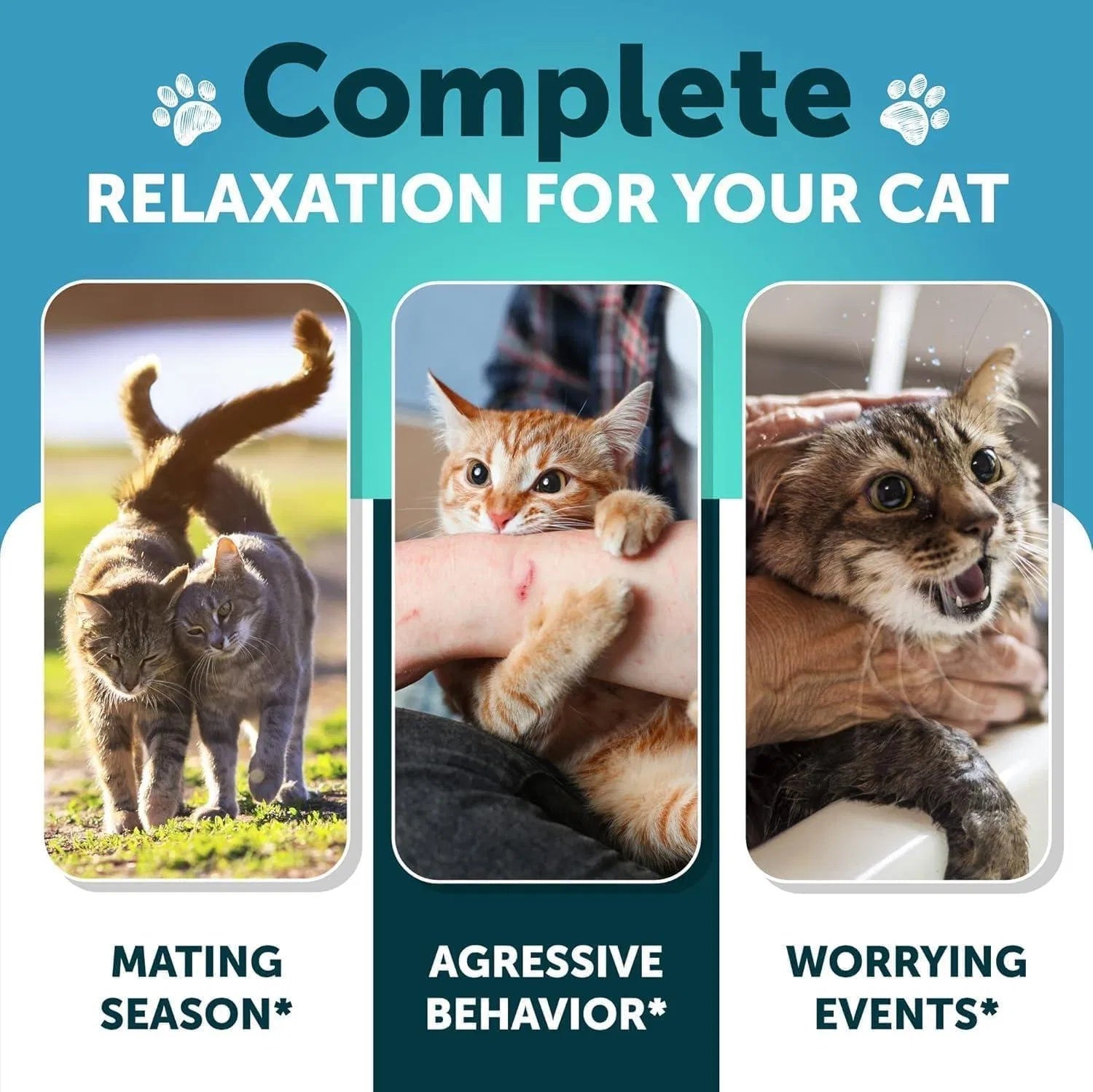 Melatonin Soothing Chews for Cats and Kittens