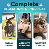 Melatonin Soothing Chews for Cats and Kittens