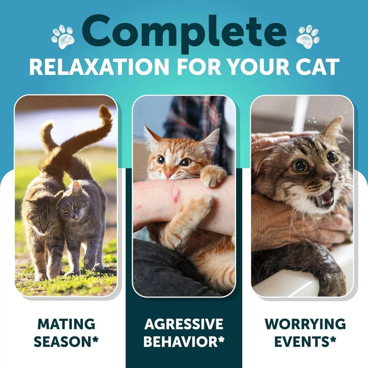 Melatonin Soothing Chews for Cats and Kittens
