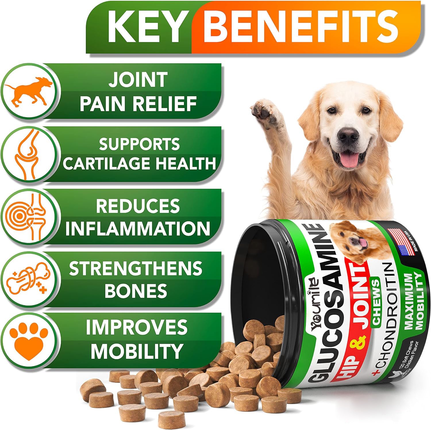 Pet Hip & Joint Supplement Chondroitin Mobility Support Chew