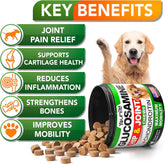Pet Hip & Joint Supplement Chondroitin Mobility Support Chew
