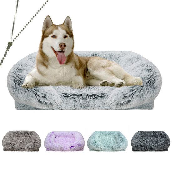 Soft Indoor Dog & Cat Bed with Cushion Cozy Home for Pets