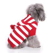 Warm Winter Holiday Outfit for Festive Knitted Pet Apparel