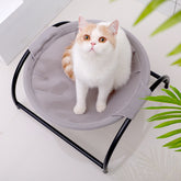 Foldable Waterproof Outdoor Travel Cot for Pets