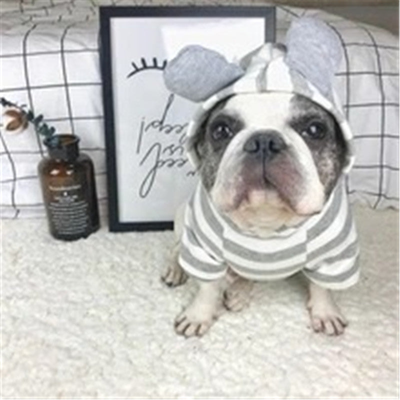 Cozy Warm Pet Outfit for Fall and Winter Seasons