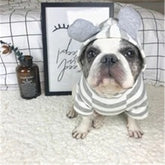Cozy Warm Pet Outfit for Fall and Winter Seasons