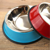 Pet Bowl Pet Feeding Basin for Dogs and Cats