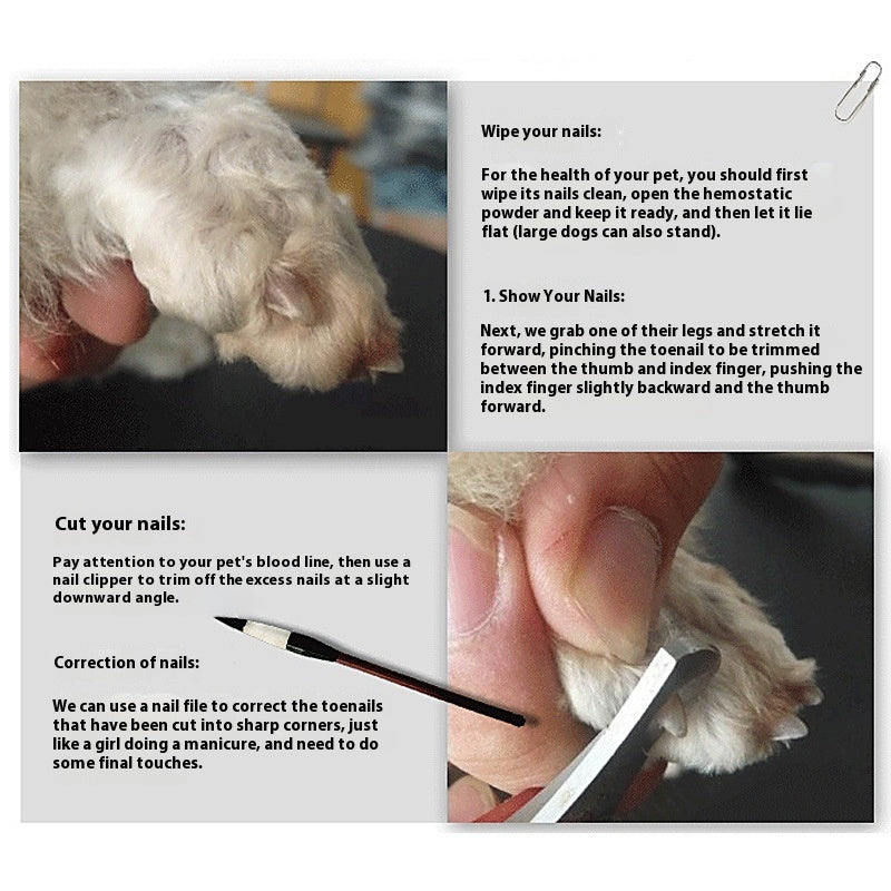 Professional Pet Grooming Clipper Dog and Cat Hair Tools Set