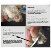 Professional Pet Grooming Clipper Dog and Cat Hair Tools Set