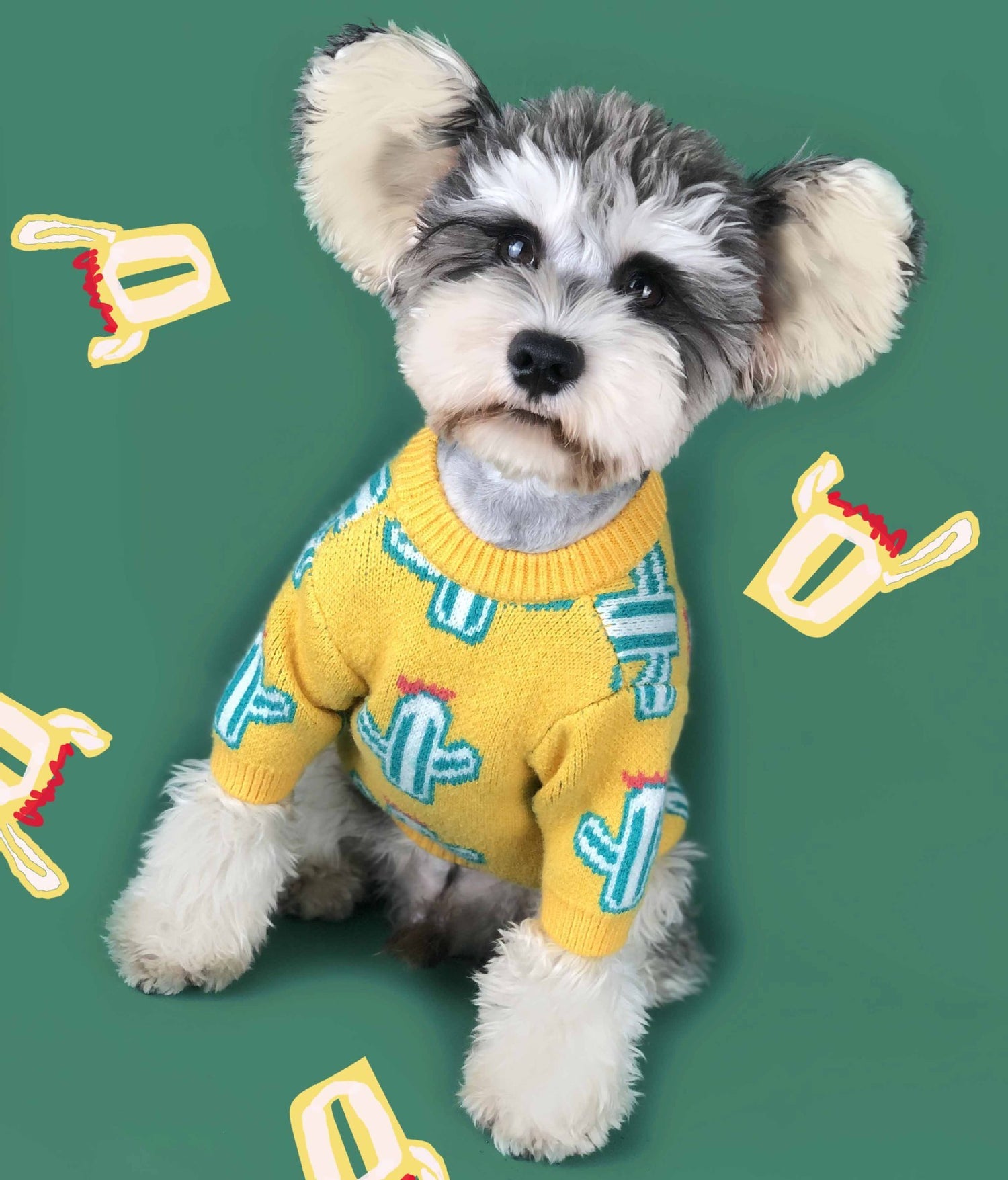 Warm Winter Pet Outfit with Cactus Design