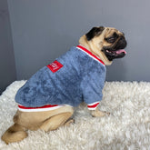 Cozy Knitted Winter Clothes for Dogs and Cats