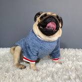 Cozy Knitted Winter Clothes for Dogs and Cats