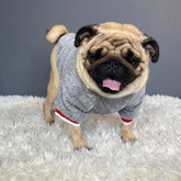 Cozy Knitted Winter Clothes for Dogs and Cats