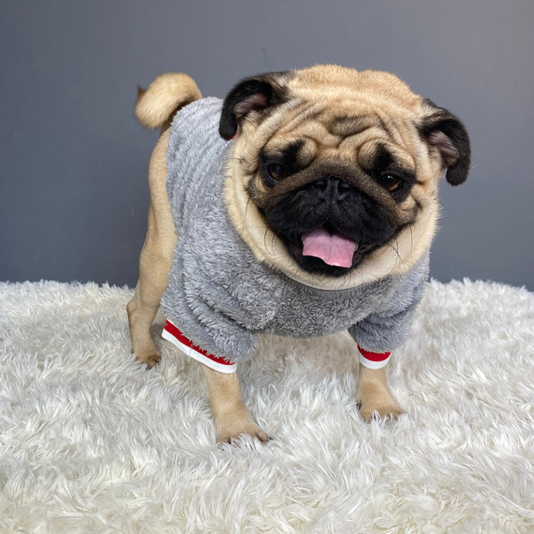 Cozy Knitted Winter Clothes for Dogs and Cats