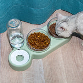 Pet Bowl Automatic Feeder Dog & Cat With Water Fountain