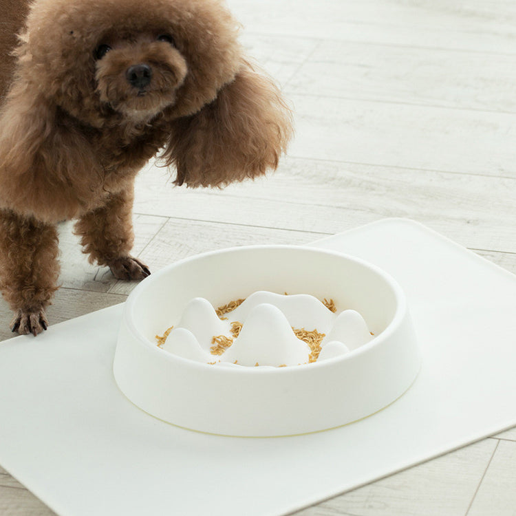 Non-Slip Interactive Slow Feeder Bowl for Dogs and Cats