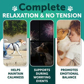 Anxiety Relief Treats with Hemp Oil Turmeric & Valerian
