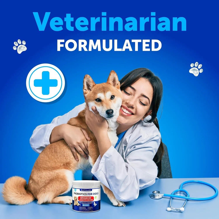 Gut Health & Allergy Support Chews with Enzymes