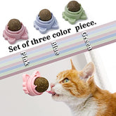 Catnip Toys for Cats Healthy Teeth Cleaning Dental Chew Wall