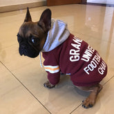 Warm Knitted Winter Clothes for Dogs and Cats