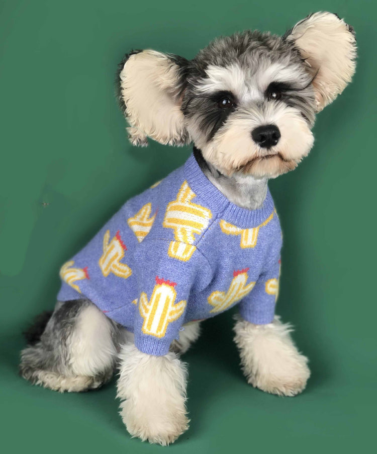 Warm Winter Pet Outfit with Cactus Design