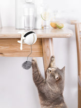 Motion-Activated Hanging Cat Toy for Exercise and Fun