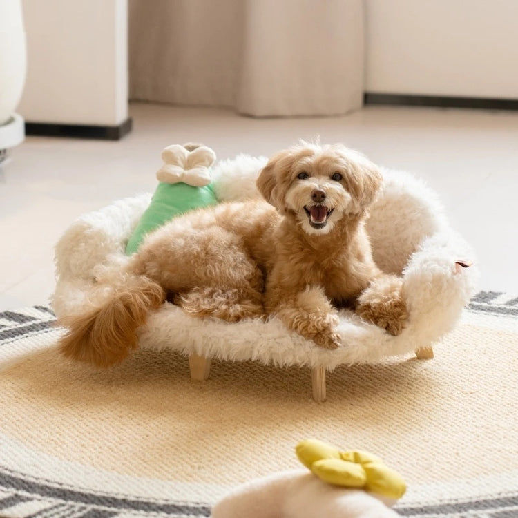 PET COMFORT