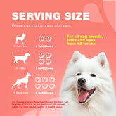 Dog Flea and Tick Treatment Chews Natural & Tick Prevention