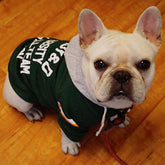 Warm Knitted Winter Clothes for Dogs and Cats