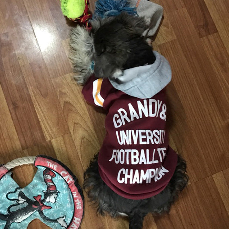 Warm Knitted Winter Clothes for Dogs and Cats