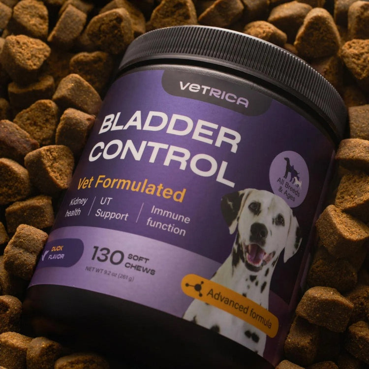 Bladder Control & Urinary Tract Health Supplement