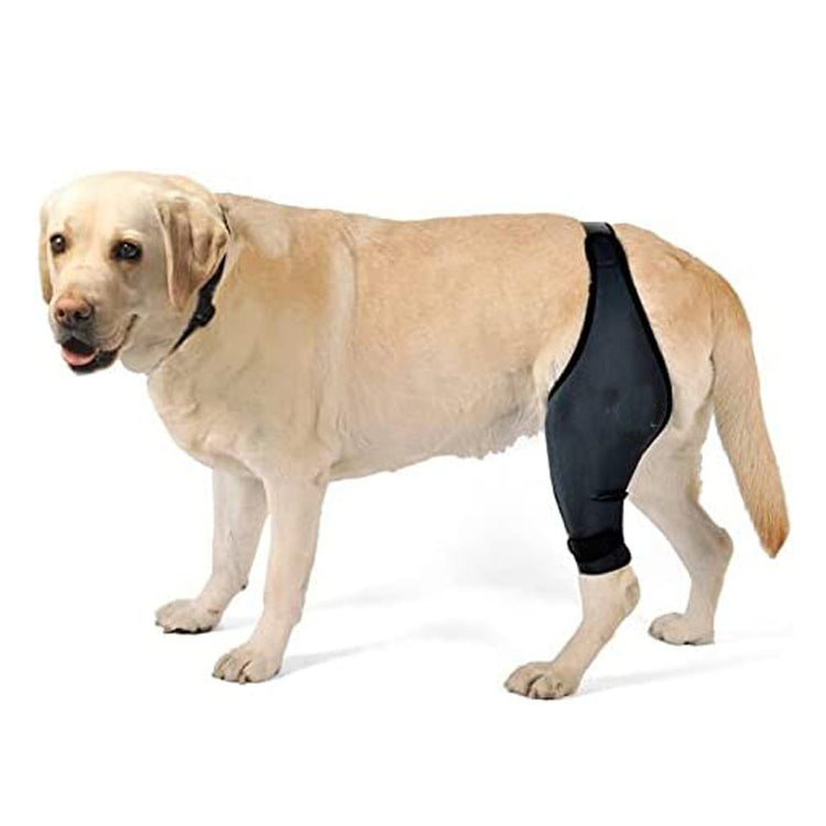 Adjustable Dog Leg Support Brace for Injury Recovery