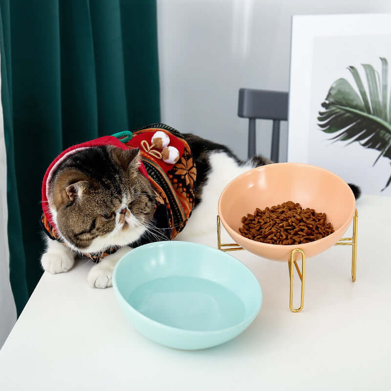 Pet Bowl Pet Supplies for Dogs and Cats