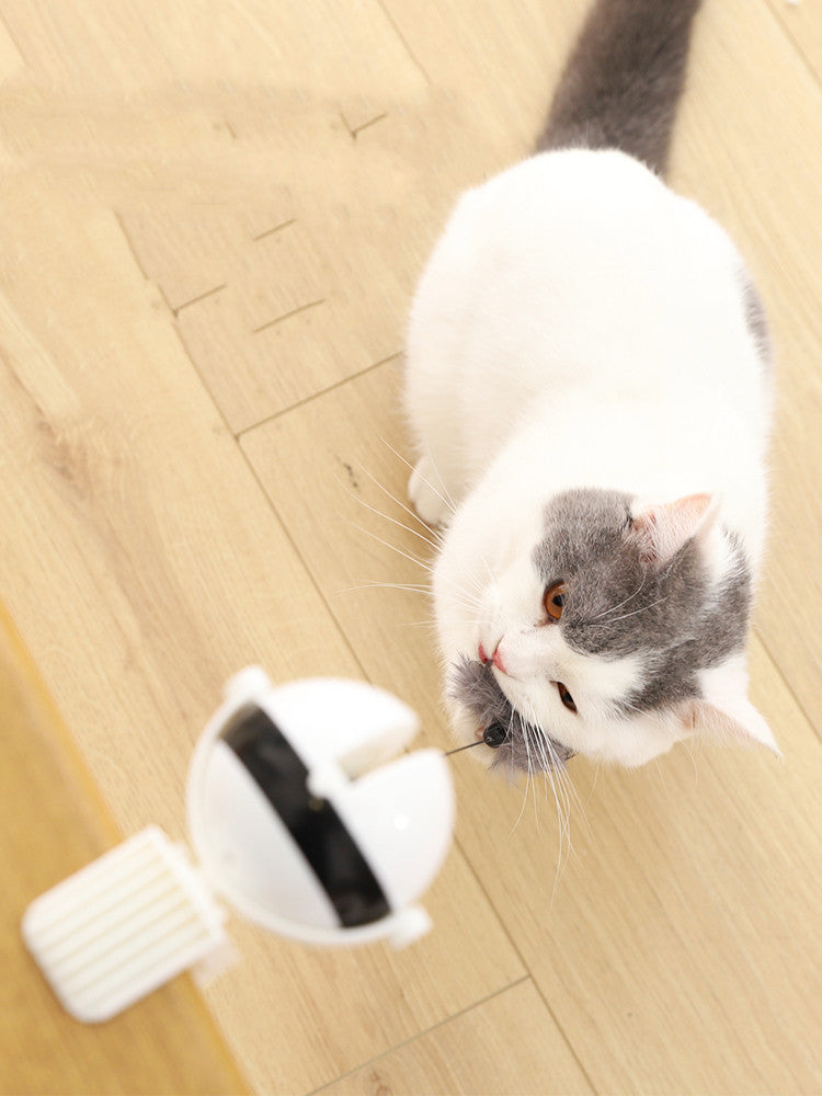 Motion-Activated Hanging Cat Toy for Exercise and Fun