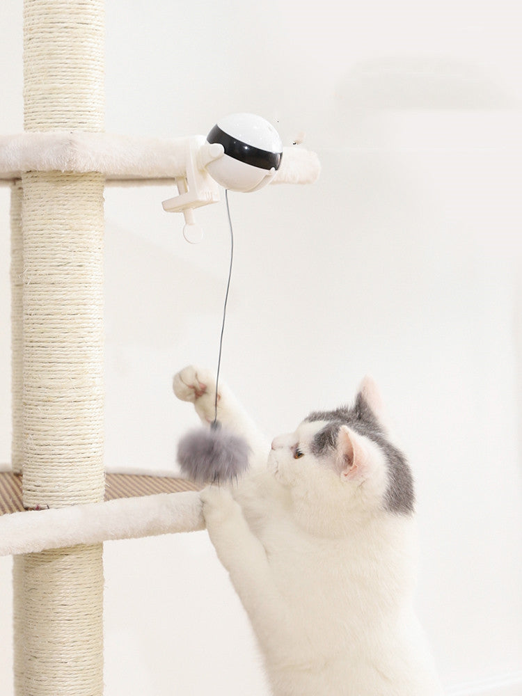 Motion-Activated Hanging Cat Toy for Exercise and Fun