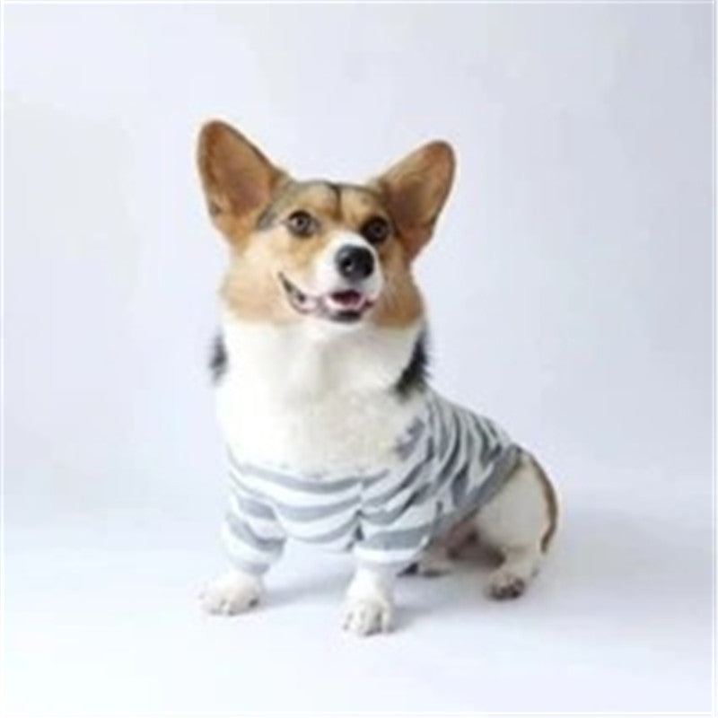 Cozy Warm Pet Outfit for Fall and Winter Seasons