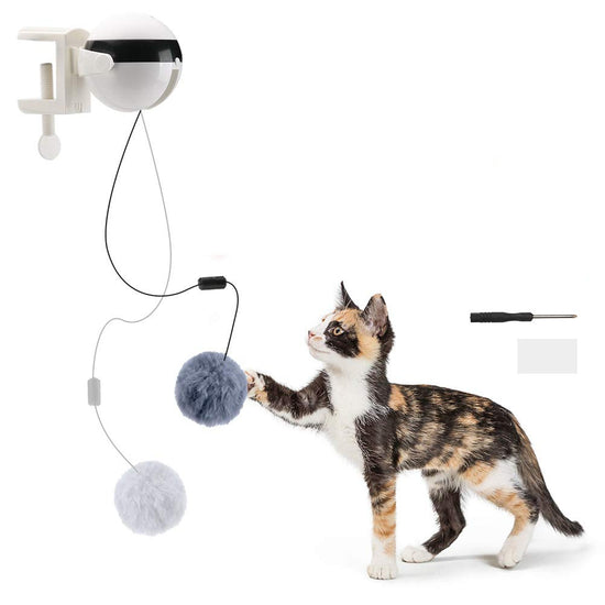 Motion-Activated Hanging Cat Toy for Exercise and Fun