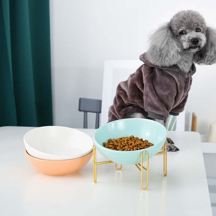 Pet Bowl Pet Supplies for Dogs and Cats