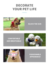 Windproof and Snowproof Eye Protection Gear for Outdoor Pets