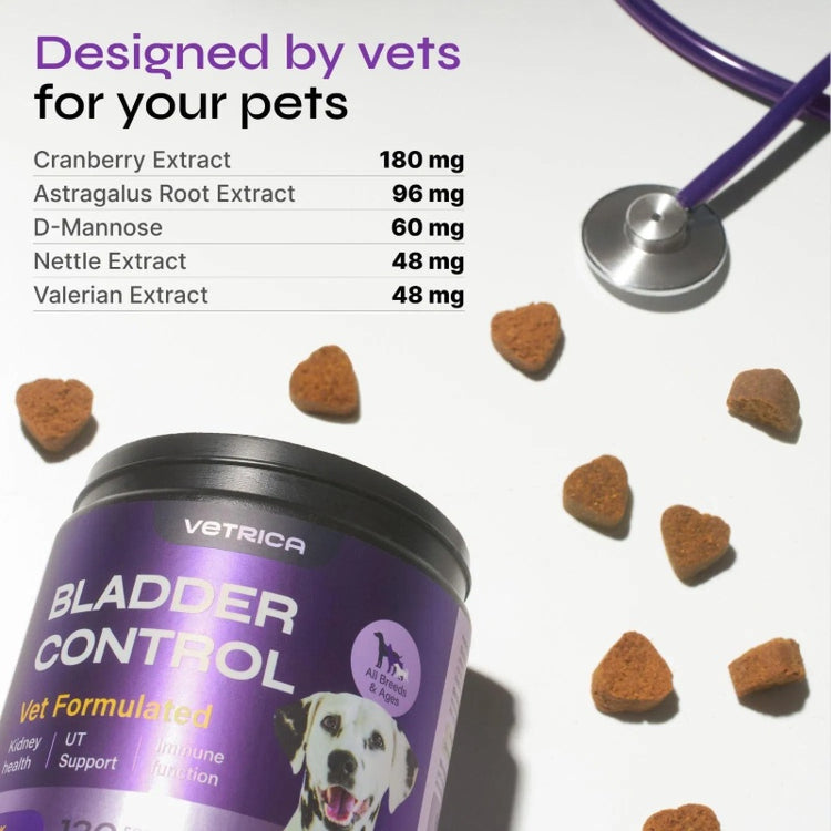 Bladder Control & Urinary Tract Health Supplement