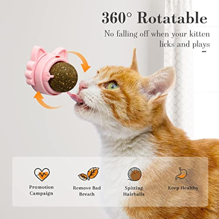 Catnip Toys for Cats Healthy Teeth Cleaning Dental Chew Wall