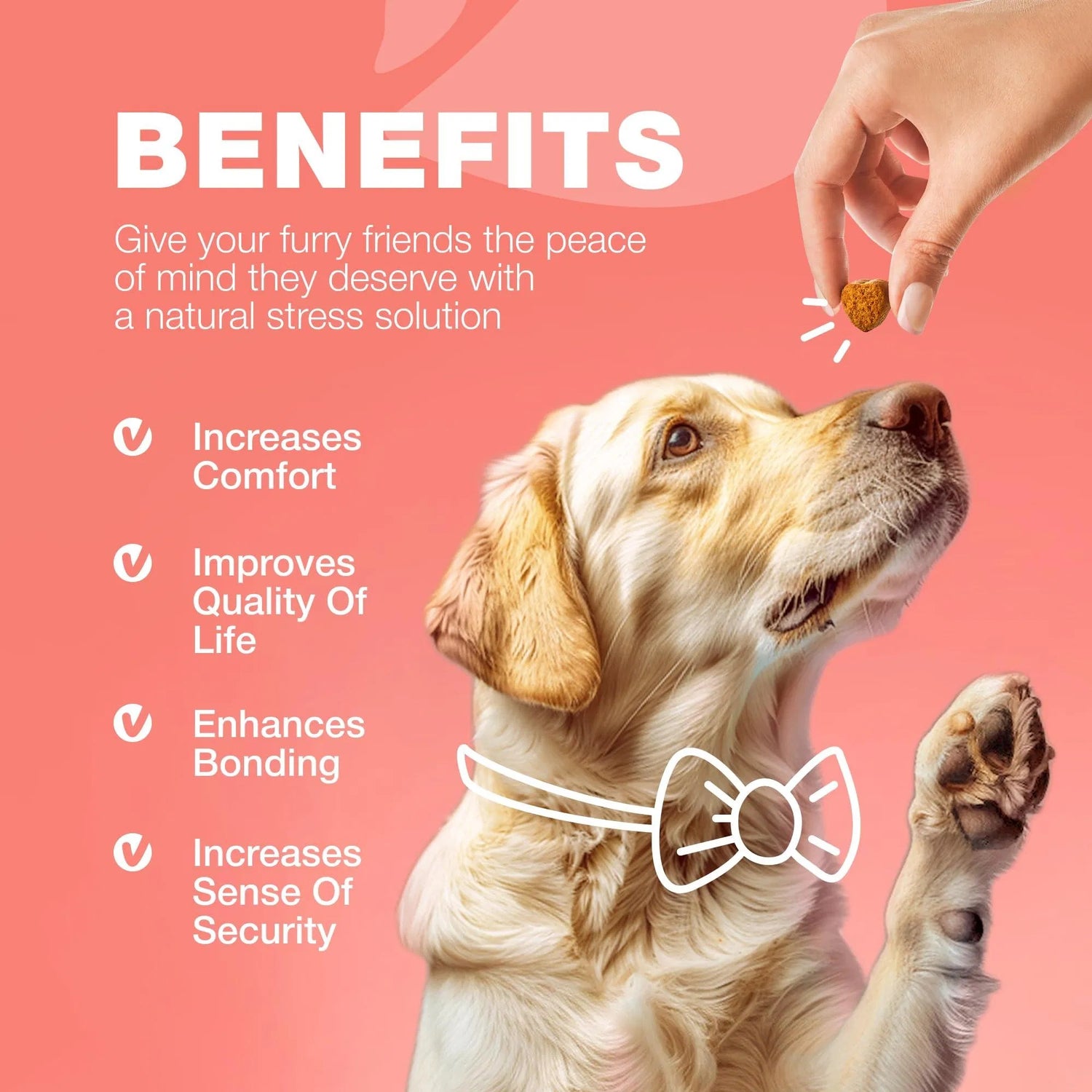 Dog Flea and Tick Treatment Chews Natural & Tick Prevention