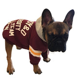 Warm Knitted Winter Clothes for Dogs and Cats