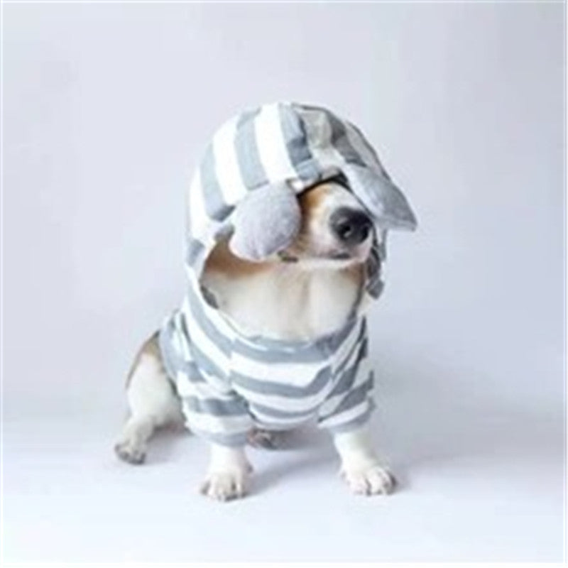 Cozy Warm Pet Outfit for Fall and Winter Seasons