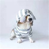 Cozy Warm Pet Outfit for Fall and Winter Seasons