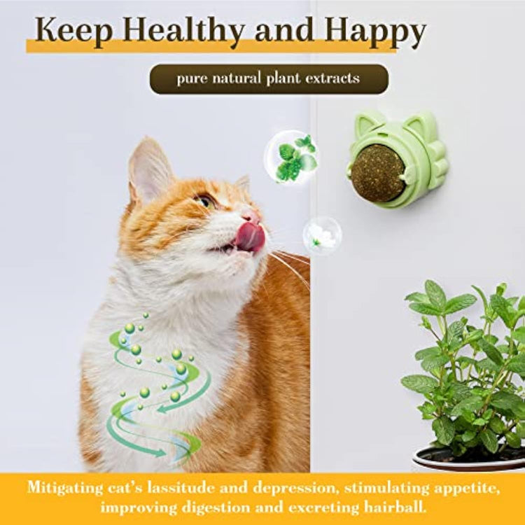 Catnip Toys for Cats Healthy Teeth Cleaning Dental Chew Wall