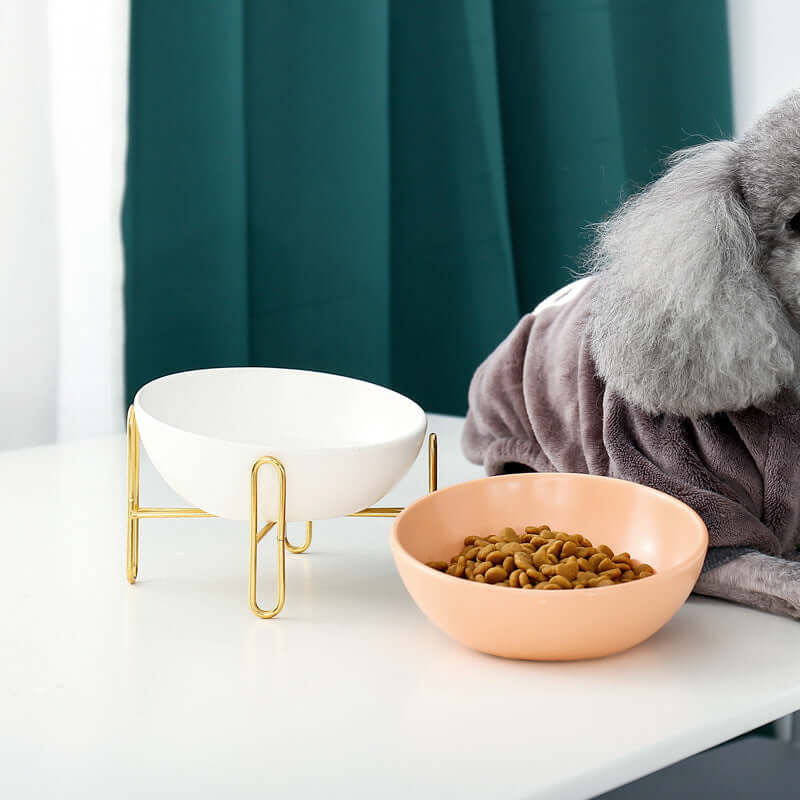 Pet Bowl Pet Supplies for Dogs and Cats