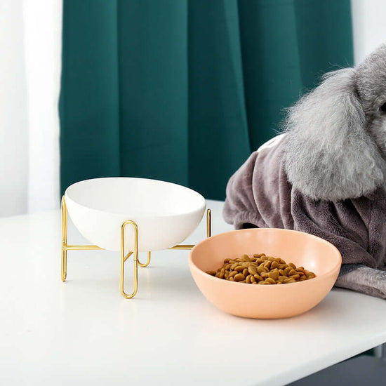 Pet Bowl Pet Supplies for Dogs and Cats
